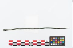 Foto von Bronzerollenkopfnadel (NHMW-PRAE-026533)
